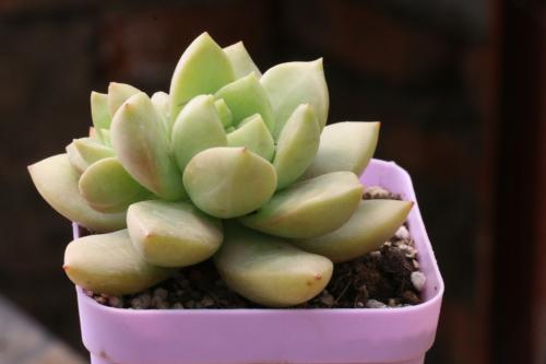 ½ÒÖ°Òµ£¢ºÚ·Û£¢½ºþ:ÈÃÕ¦ÅçÖ÷²¥¾ÍÕ¦Åç °´Á¿½áÇ®