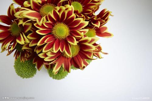 ܹģ2000ԪйҵĻ仧Ϻ