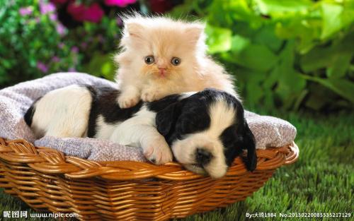 ²ÆÕþ²¿:±£ÕÏ