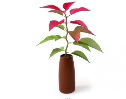 ²¿·Ö·¿´ûÀûÂÊÓÀ´Öض¨¼ÛÈÕ,ÄãµÄÔ¹©±äÁËÂð?