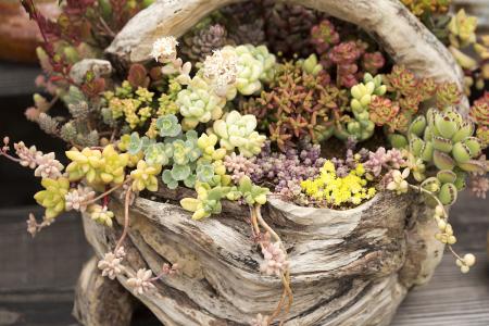 ձһ뾳߸ȾϷǳֵı¹ڲ