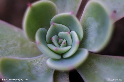 Î人Æô¶¯Ð¹ÚÒßÃç½ô¼±½ÓÖÖ¹¤×÷ ×öºÃÇﶬ¼¾·ÀÒß