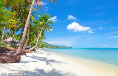 Ôöֵ˰µç×ÓרƱÀ´ÁË Ñùʽ¸ü¼ò½àÁìÓ÷½Ê½¸ü¿ì½Ý