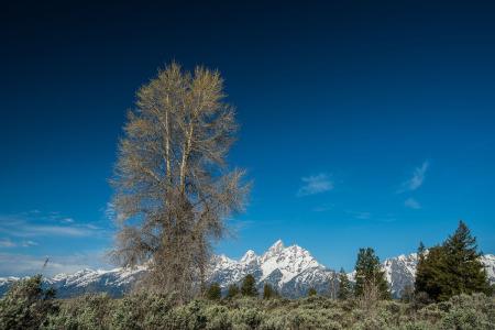 ¹óÖÝÕþÐÈË¿Ú×ÊÔ´»·¾³Î¯Ô±»áÔÖ÷ÈÎÕÅÊ˸£±»Ë«¿ª