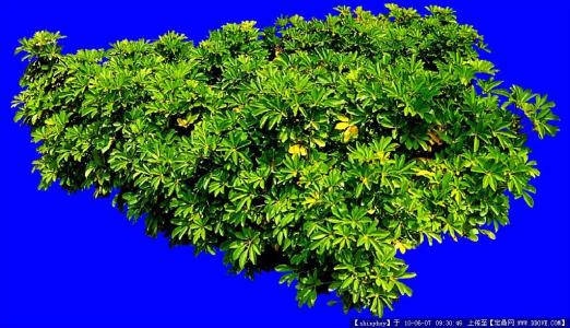 ²¿·Ö·¿´ûÀûÂÊÓÀ´Öض¨¼ÛÈÕ,ÄãµÄÔ¹©±äÁËÂð?