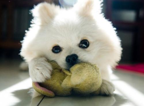 ECMO졢5GӦáҹͶЩҵ