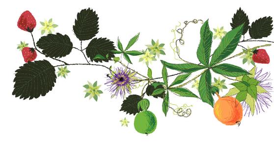 ¡°ÖйúÉæÍâµÚÒ»Çø¡±µÄ¿ª·Å·¢Õ¹Í¼¼ø