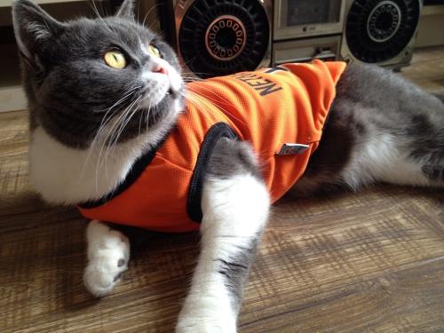 Ó¢¹úµ¥ÈÕÐÂÔöÈ·ÕïÆÆ4ÍòÀý ÓÖÓÐ3¹úÏÖ±äÒìйڲ¡¶¾