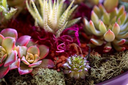 Òø±£¼à»á³ǫ̈¶ÀÁ¢¸öÈ˱£ÏÕ´úÀíÈ˼à¹Ü¹æ¶¨